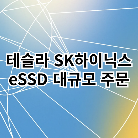 테슬라-SK하이닉스-eSSD주문